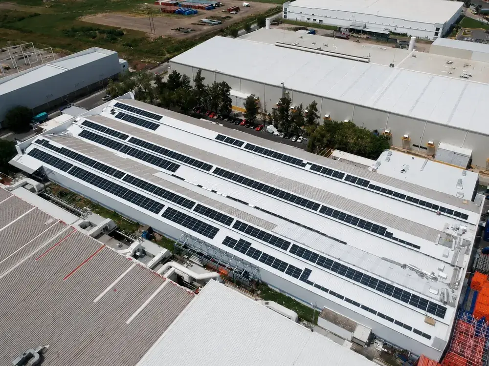 Estral Plant 1